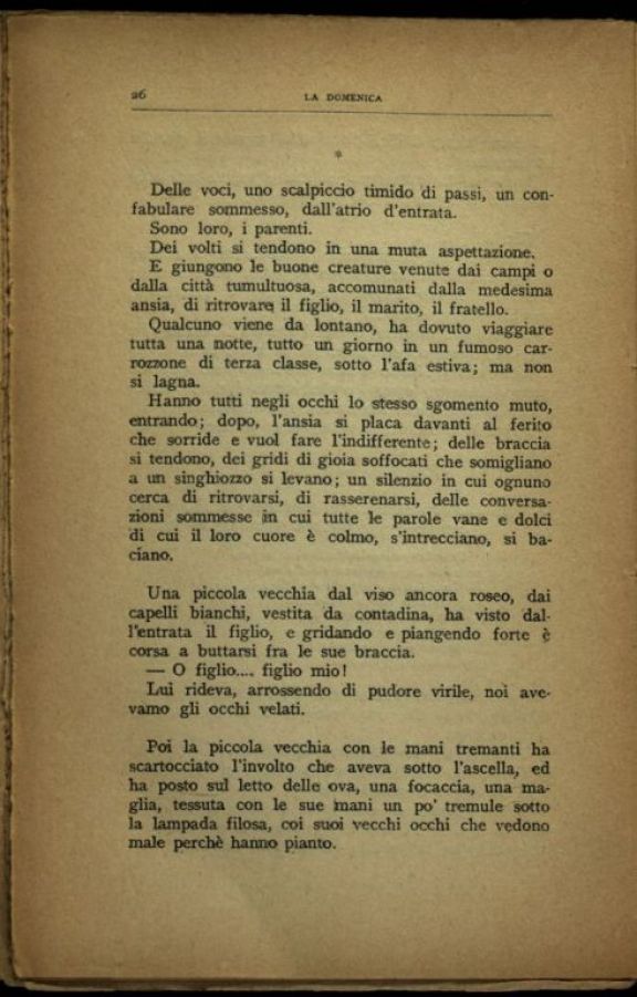 Un *anno d'ospedale (giugno 1915 - novembre 1916)  : note di un' infermiera  / Maria Luisa Perduca