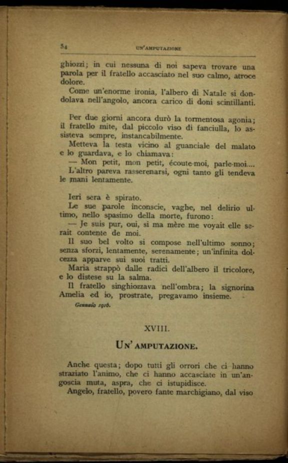 Un *anno d'ospedale (giugno 1915 - novembre 1916)  : note di un' infermiera  / Maria Luisa Perduca