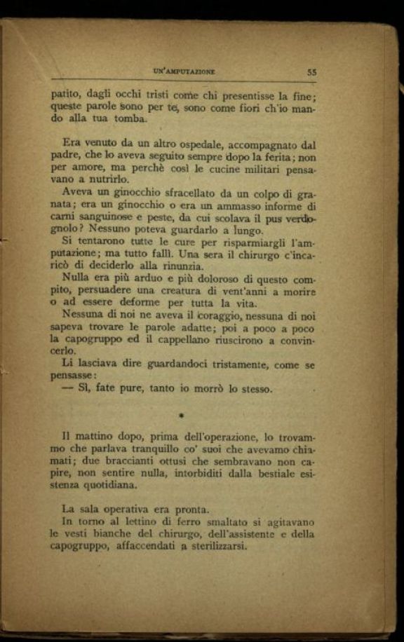 Un *anno d'ospedale (giugno 1915 - novembre 1916)  : note di un' infermiera  / Maria Luisa Perduca