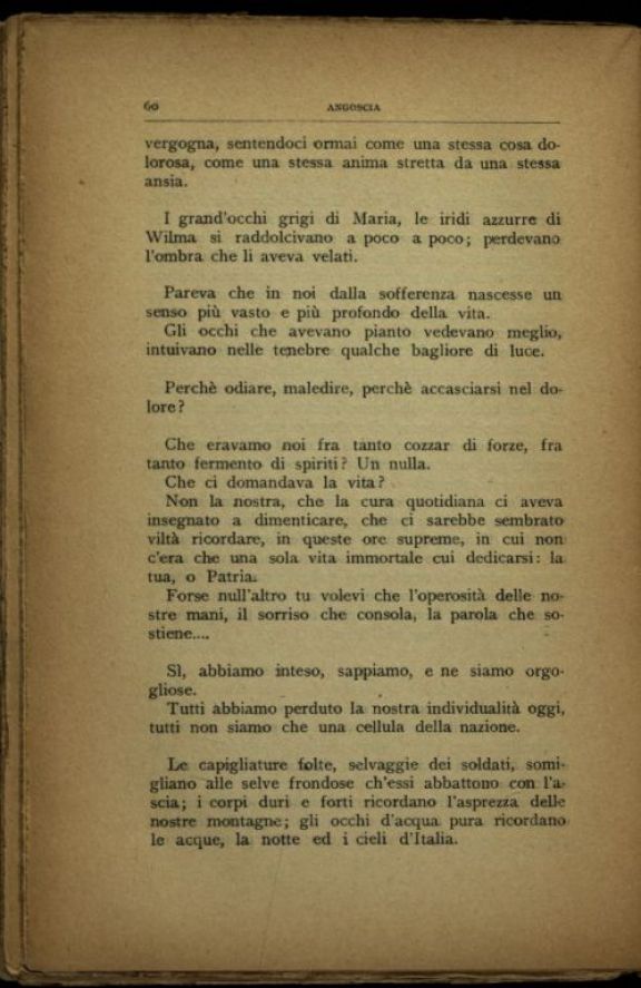 Un *anno d'ospedale (giugno 1915 - novembre 1916)  : note di un' infermiera  / Maria Luisa Perduca