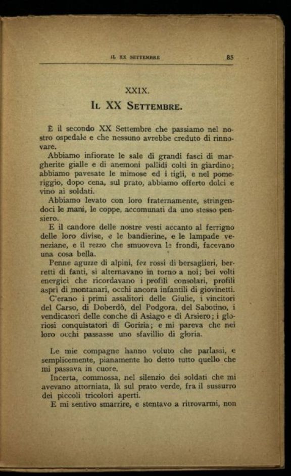 Un *anno d'ospedale (giugno 1915 - novembre 1916)  : note di un' infermiera  / Maria Luisa Perduca