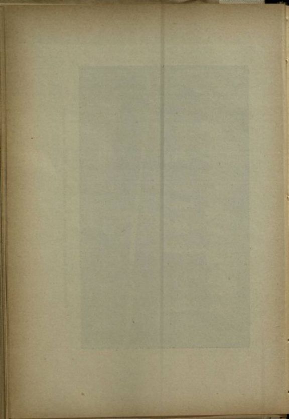 Composizione ed inventario di un ospedale di guerra da 50 letti someggiabile in sacchi, ceste, casse e colli, con inventario e descrizione degli attendamenti e con la relativa istruzione per la montature delle tende, modello 1910