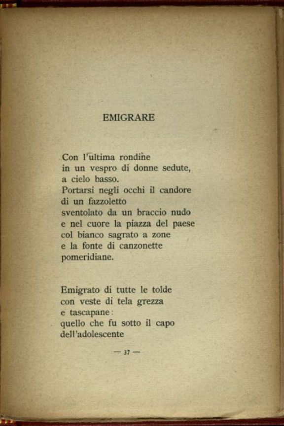 Cosmopolite  : 1916 - 1919  / Auro d'Alba