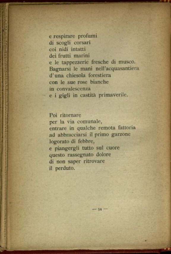 Cosmopolite  : 1916 - 1919  / Auro d'Alba