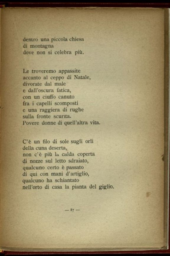 Cosmopolite  : 1916 - 1919  / Auro d'Alba