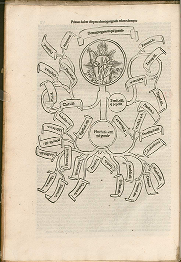 Giovanni Boccaccio, Genealogiae deorum [Venezia 1497]