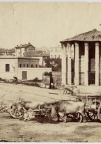 fotografia/CECCARIUS002/045