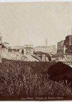 fotografia/CECCARIUS002/065