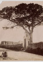 fotografia/CECCARIUS003/011