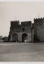 fotografia/CECCARIUS003/045