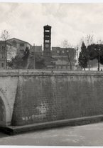 fotografia/CECCARIUS004/116