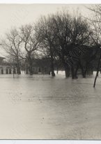 fotografia/CECCARIUS004/132