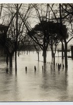 fotografia/CECCARIUS004/134