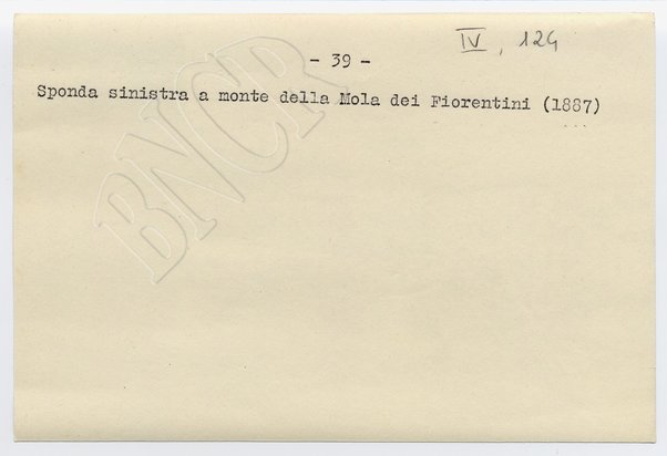 Sponda sinistra a monte della Mola dei Fiorentini