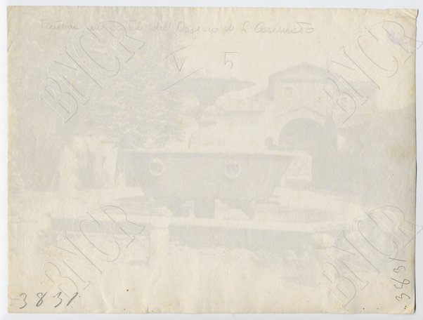 Fontana nel cortile dell'Ospizio di S. Cosimato