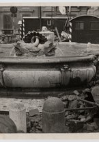 fotografia/CECCARIUS005/013