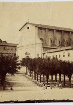 fotografia/CECCARIUS006/037