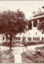 fotografia/CECCARIUS006/055