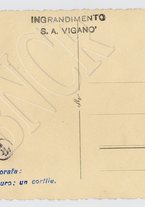 fotografia/CECCARIUS006/210