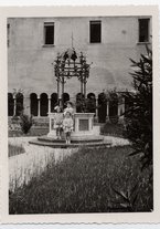 fotografia/CECCARIUS006/219