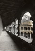 fotografia/CECCARIUS006/239