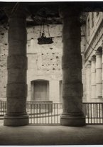 fotografia/CECCARIUS007/027