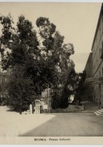 fotografia/CECCARIUS007/031