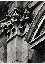 fotografia/CECCARIUS007/045