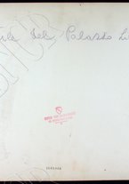 fotografia/CECCARIUS007/062