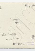 fotografia/CECCARIUS007/090