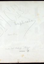 fotografia/CECCARIUS007/111