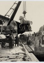 fotografia/CECCARIUS007/163