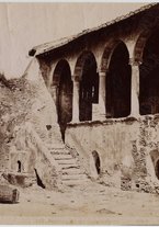 fotografia/CECCARIUS007/197