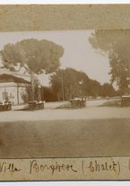 fotografia/CECCARIUS007/231