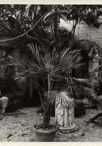 fotografia/CECCARIUS007/279