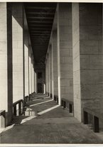 fotografia/CECCARIUS007/295