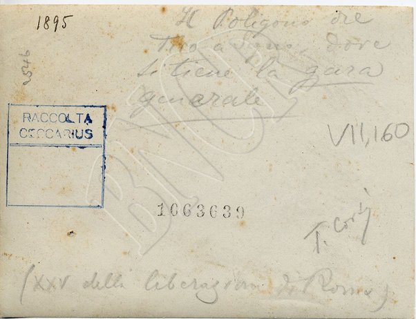 Poligono di Tiro (Tor di Quinto)