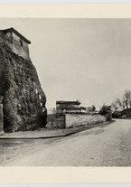 fotografia/CECCARIUS009/007