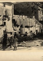 fotografia/CECCARIUS009/071