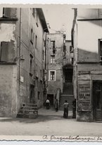 fotografia/CECCARIUS009/111