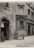 fotografia/CECCARIUS009/113