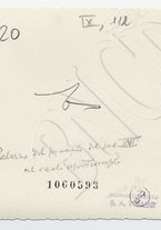 fotografia/CECCARIUS009/233