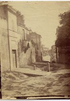 fotografia/CECCARIUS009/308