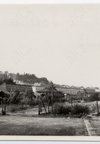 fotografia/CECCARIUS009/334