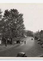 fotografia/CECCARIUS009/344