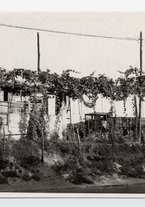 fotografia/CECCARIUS009/352