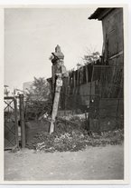 fotografia/CECCARIUS009/362