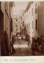 fotografia/CECCARIUS009/404