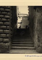 fotografia/CECCARIUS009/552