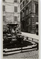 fotografia/CECCARIUS010/121